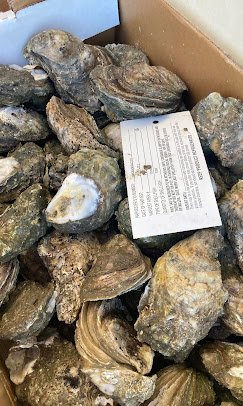 Fresh Louisiana boiled crab at B&D Seafood